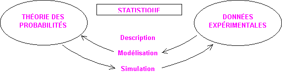 Diagramme schématisant le lien stat-proba
